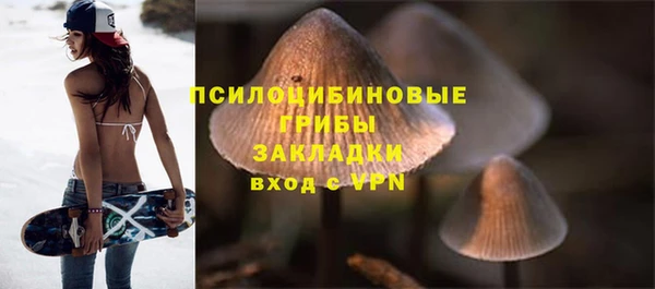 гидропоника Алзамай
