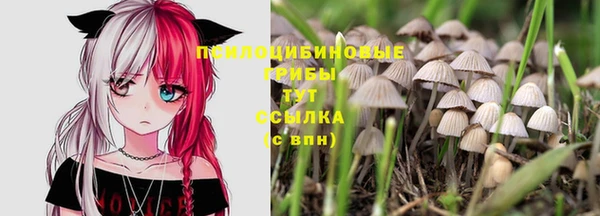 гашиш Саяногорск